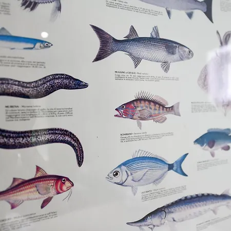 Regina E Oriente Apartment *